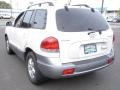 2006 Nordic White Hyundai Santa Fe GLS  photo #6