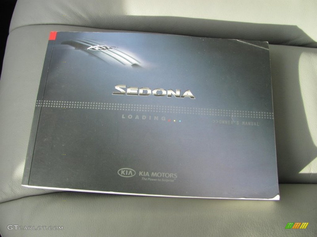 2007 Sedona EX - Olive Gray / Gray photo #4