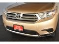 Sandy Beach Metallic - Highlander V6 Photo No. 7