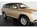 Sandy Beach Metallic - Highlander V6 Photo No. 8