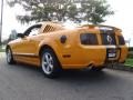 2007 Grabber Orange Ford Mustang GT Deluxe Coupe  photo #5
