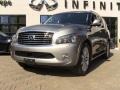 Platinum Graphite - QX 56 4WD Photo No. 1