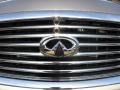 Platinum Graphite - QX 56 4WD Photo No. 3
