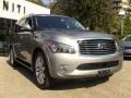 Platinum Graphite - QX 56 4WD Photo No. 5