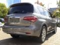 Platinum Graphite - QX 56 4WD Photo No. 11