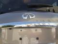 Platinum Graphite - QX 56 4WD Photo No. 13