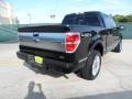 2010 Tuxedo Black Ford F150 Platinum SuperCrew 4x4  photo #3