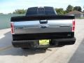 2010 Tuxedo Black Ford F150 Platinum SuperCrew 4x4  photo #4