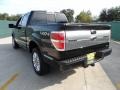 2010 Tuxedo Black Ford F150 Platinum SuperCrew 4x4  photo #5