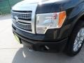 2010 Tuxedo Black Ford F150 Platinum SuperCrew 4x4  photo #11