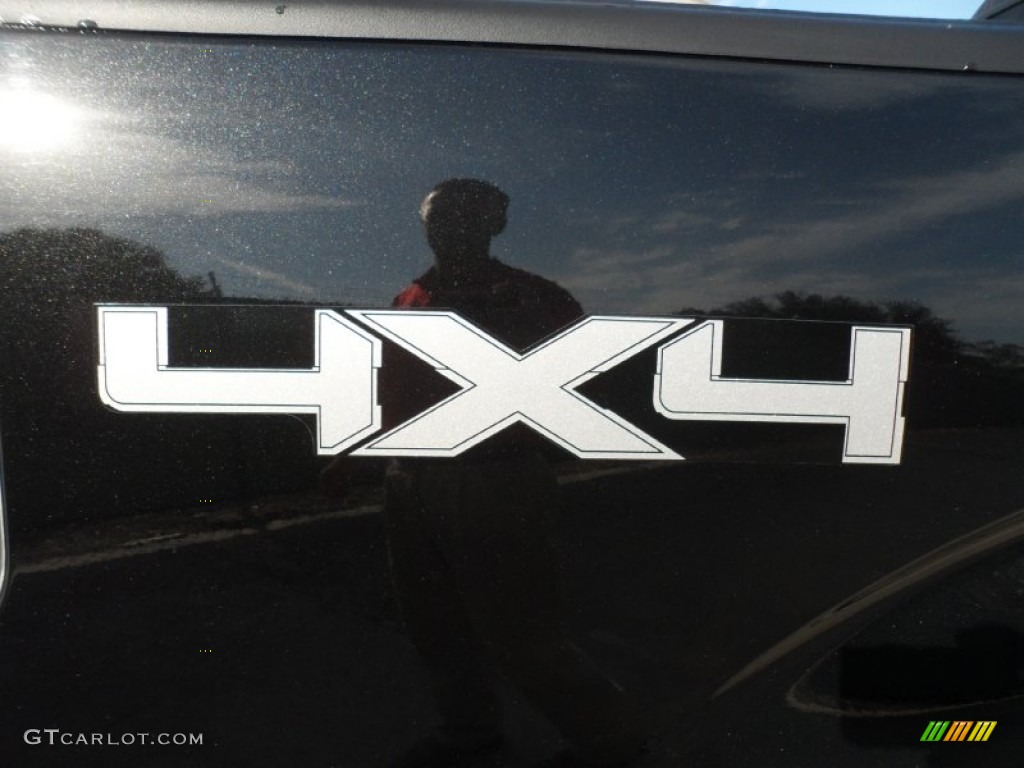 2010 Ford F150 Platinum SuperCrew 4x4 Marks and Logos Photo #55180665