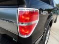 2010 Tuxedo Black Ford F150 Platinum SuperCrew 4x4  photo #20