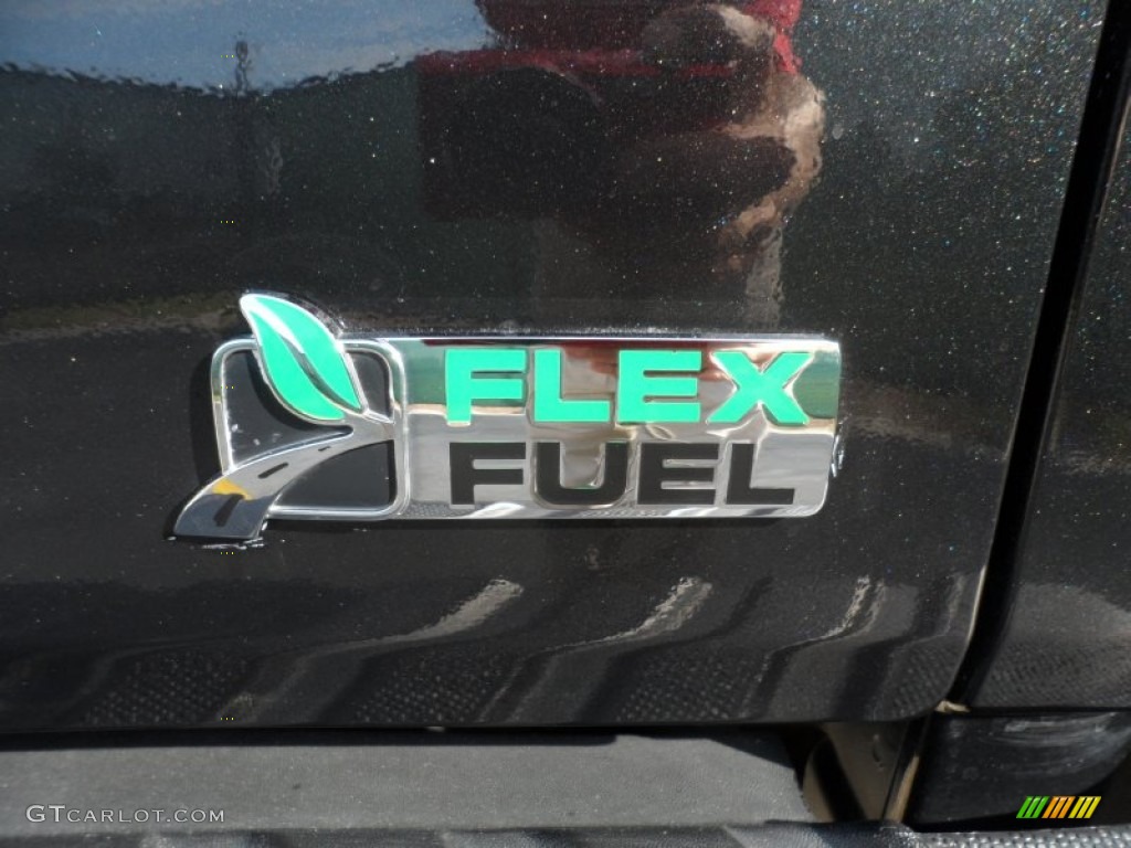 2010 Ford F150 Platinum SuperCrew 4x4 Marks and Logos Photo #55180671