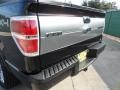 2010 Tuxedo Black Ford F150 Platinum SuperCrew 4x4  photo #25