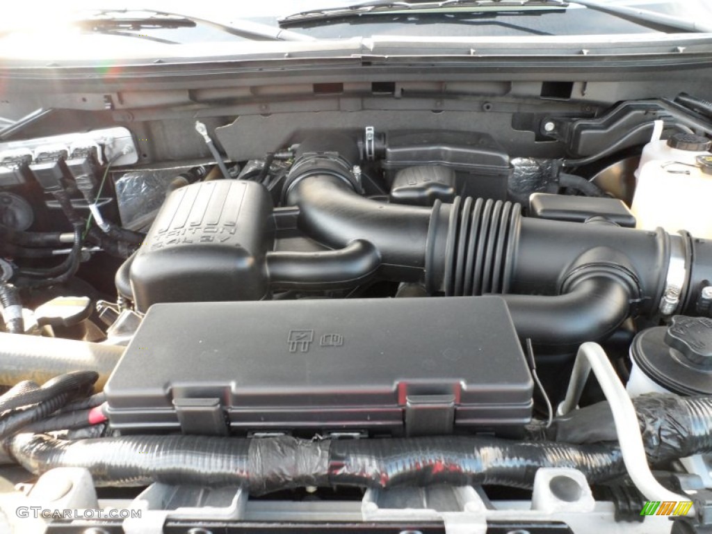 2010 Ford F150 Platinum SuperCrew 4x4 5.4 Liter Flex-Fuel SOHC 24-Valve VVT Triton V8 Engine Photo #55180719