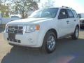 2009 White Suede Ford Escape XLT 4WD  photo #1