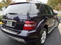 2007 Capri Blue Metallic Mercedes-Benz ML 350 4Matic  photo #9