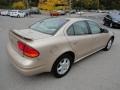 Sandstone Metallic - Alero GL Sedan Photo No. 6