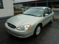 2003 Gold Ash Metallic Ford Taurus SEL  photo #11