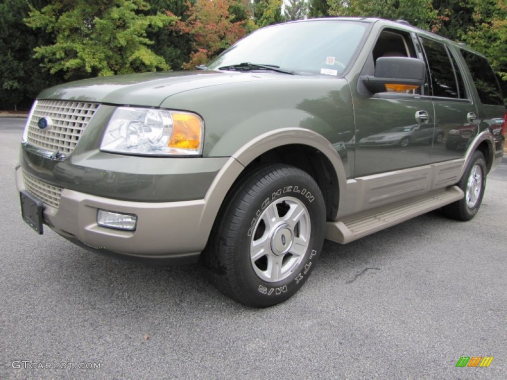 2003 Expedition Eddie Bauer - Estate Green Metallic / Medium Parchment photo #1