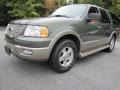2003 Estate Green Metallic Ford Expedition Eddie Bauer  photo #1