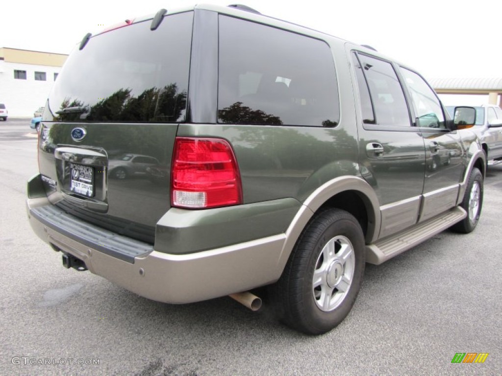 2003 Expedition Eddie Bauer - Estate Green Metallic / Medium Parchment photo #3