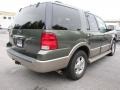 2003 Estate Green Metallic Ford Expedition Eddie Bauer  photo #3