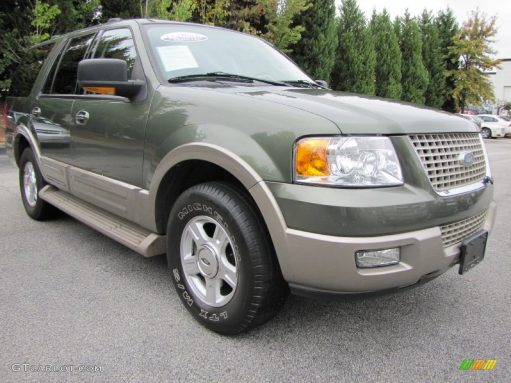 2003 Expedition Eddie Bauer - Estate Green Metallic / Medium Parchment photo #4