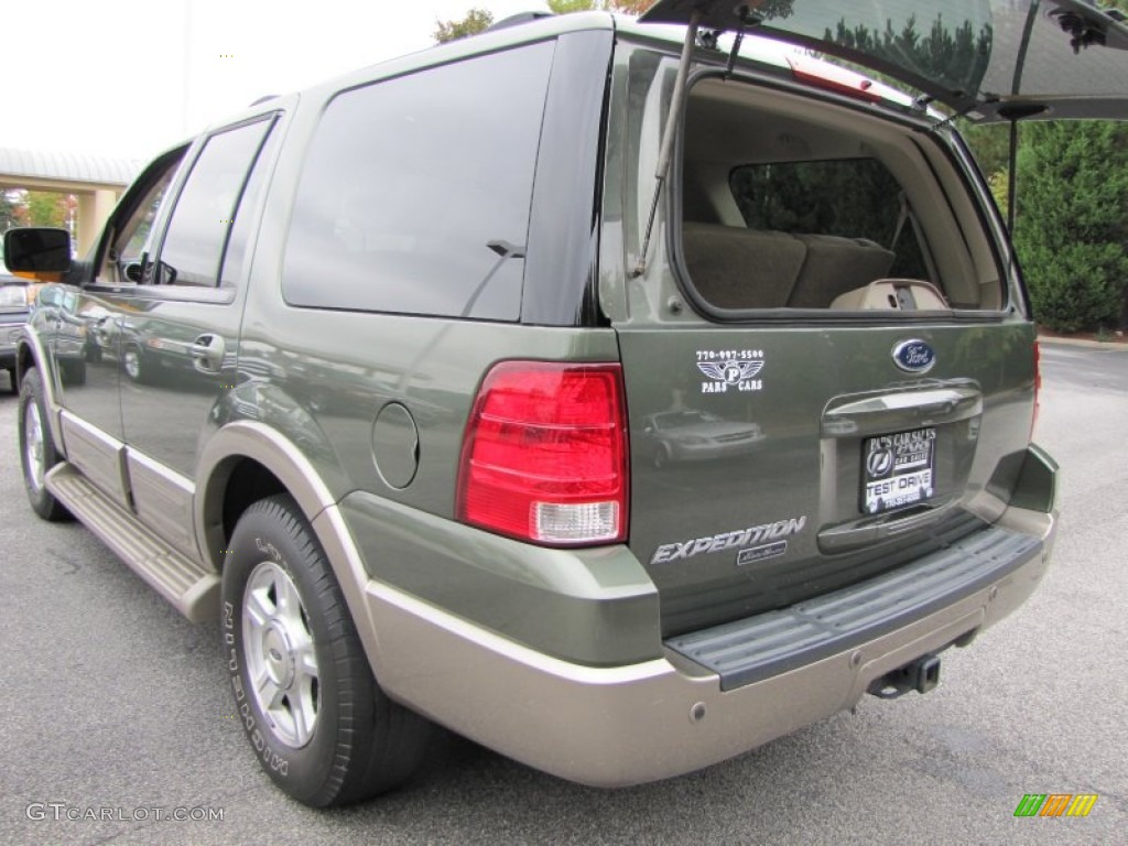2003 Expedition Eddie Bauer - Estate Green Metallic / Medium Parchment photo #10