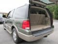 2003 Estate Green Metallic Ford Expedition Eddie Bauer  photo #11