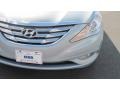 Iridescent Silver Blue Metallic - Sonata SE Photo No. 9