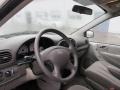 2006 Stone White Dodge Caravan SXT  photo #10