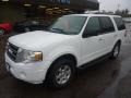 2010 Oxford White Ford Expedition XLT 4x4  photo #8