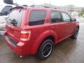 2010 Sangria Red Metallic Ford Escape XLT Sport Package  photo #4