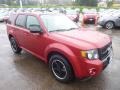 2010 Sangria Red Metallic Ford Escape XLT Sport Package  photo #6