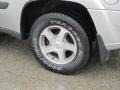 Silverstone Metallic - TrailBlazer LS 4x4 Photo No. 5