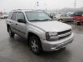 Silverstone Metallic - TrailBlazer LS 4x4 Photo No. 10