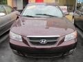 Dark Cinnamon - Sonata LX V6 Photo No. 20