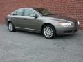 Oyster Gray Metallic - S80 3.2 Photo No. 2