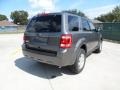 2012 Sterling Gray Metallic Ford Escape XLT  photo #3