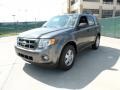 2012 Sterling Gray Metallic Ford Escape XLT  photo #7