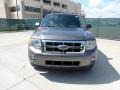 Sterling Gray Metallic - Escape XLT Photo No. 8