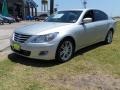Platinum Metallic - Genesis 4.6 Sedan Photo No. 7