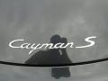  2006 Cayman S Logo