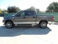 2006 Dark Shadow Grey Metallic Ford F150 XLT SuperCrew  photo #6