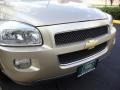 2006 Sandstone Metallic Chevrolet Uplander LS  photo #12