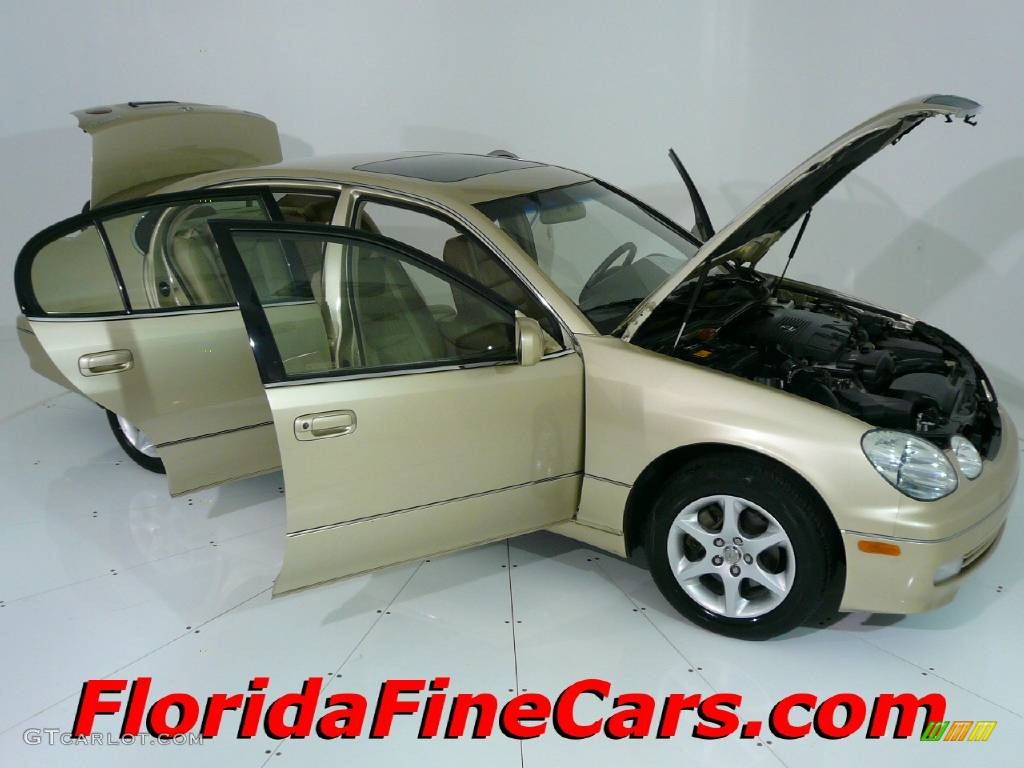2004 GS 300 - Mystic Gold Metallic / Ivory photo #7