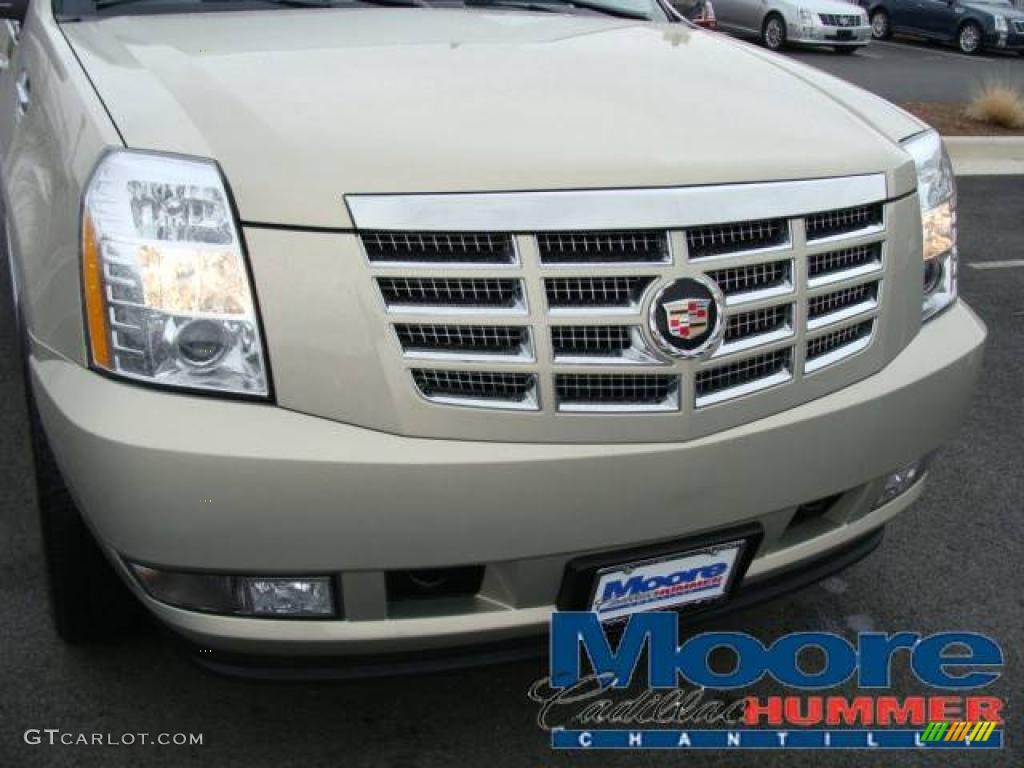 2007 Escalade ESV AWD - Gold Mist / Cocoa/Light Cashmere photo #4