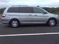 Nimbus Gray Metallic - Odyssey EX-L Photo No. 17