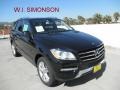 Black - ML 350 4Matic Photo No. 1